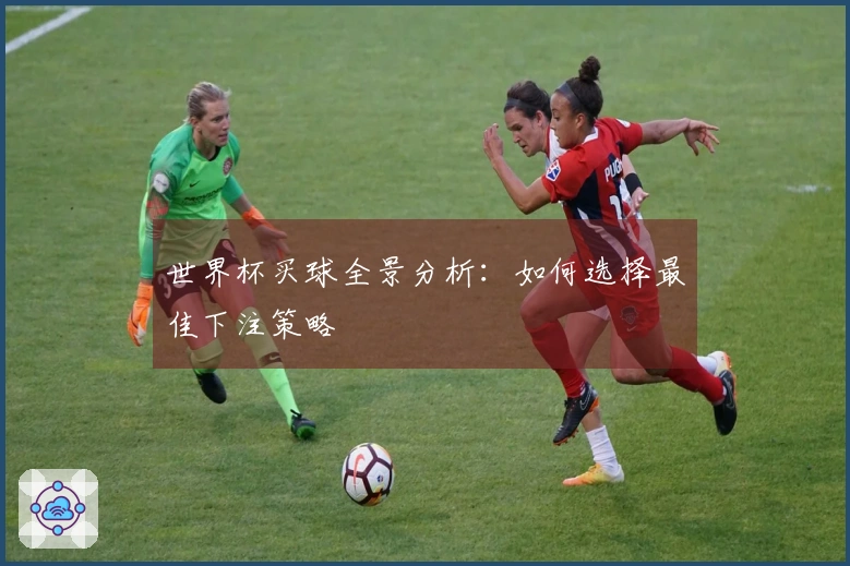 世界杯买球全景分析：如何选择最佳下注策略