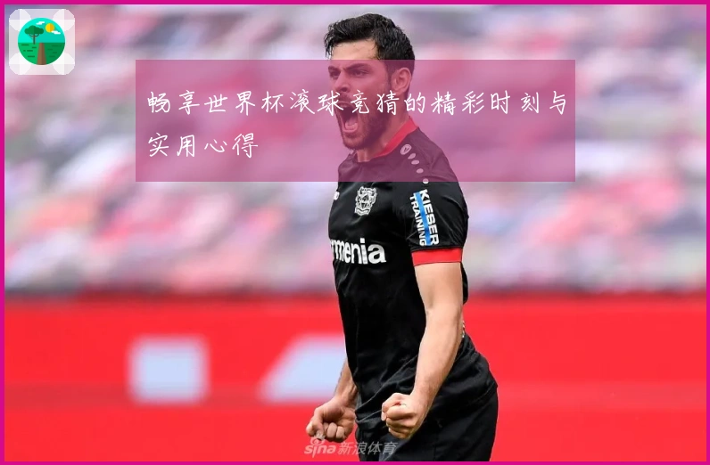 畅享世界杯滚球竞猜的精彩时刻与实用心得