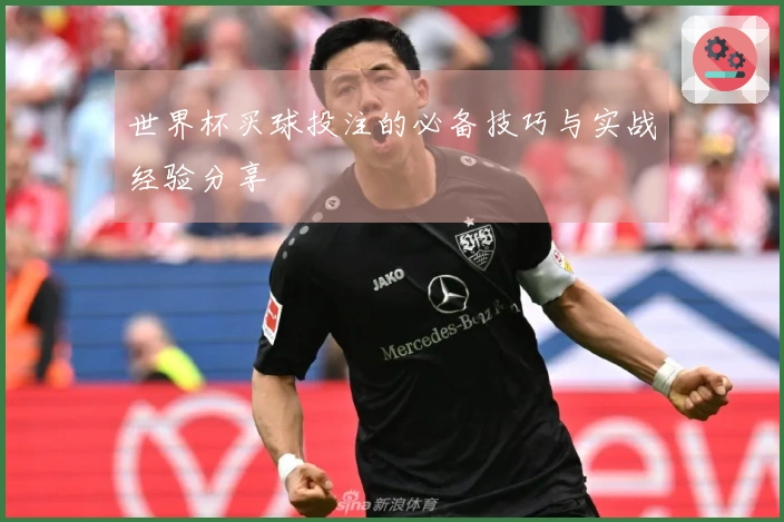 世界杯买球投注的必备技巧与实战经验分享
